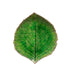 Riviera 7" Hydrangea Leaf Plate-Bespoke Designs