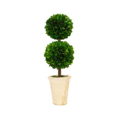 Boxwood Topiary, Double, Small-Bespoke Designs