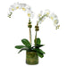 Two Stemmed White Orchids in Glass Cylindrical Vase-Bespoke Designs