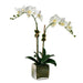 Two Stemmed White Orchids in Glass Square Vase-Bespoke Designs
