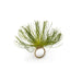 Bloom Botanical Napkin Ring-Bespoke Designs