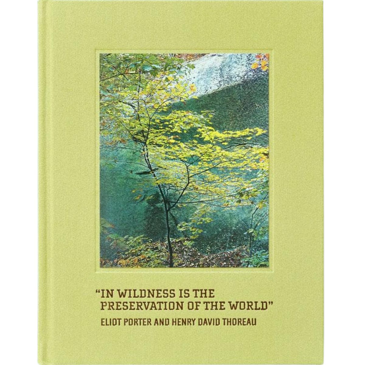 In Wildness is the Preservation of the World-Bespoke Designs