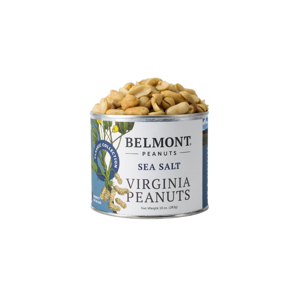 Sea Salt Virginia Peanuts, 10oz-Bespoke Designs