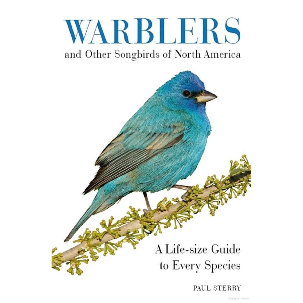 Warblers and Other Songbirds of North America-Bespoke Designs